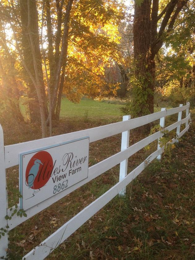 Miles River Guest House Easton Bagian luar foto